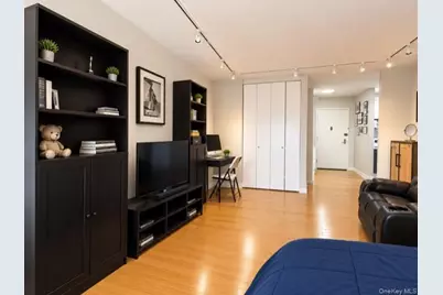 27110 Grand Central Parkway #16M, Floral Park, NY 11005 - Photo 4