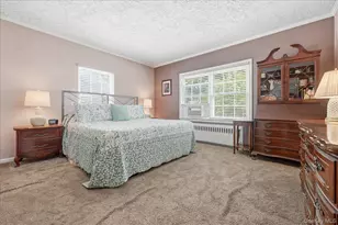 166 Beech St, Floral Park, NY 11001 - Photo 16