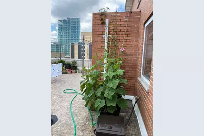 14075 Ash Avenue #7D, Flushing, NY 11355 - Photo 2