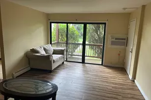 175 Sneden Pl, Spring Valley, NY 10977 - Photo 10