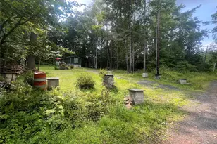 101 Lake Country Ln, Narrowsburg, NY 12764 - Photo 2
