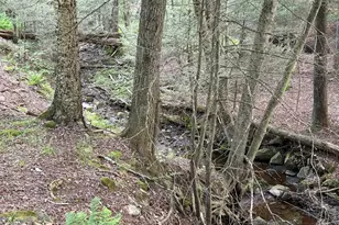 260 Schumway Rd, Neversink, NY 12765 - Photo 10