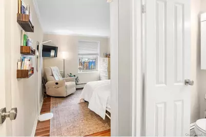 101 Clinton Avenue #1L, Mineola, NY 11501 - Photo 16