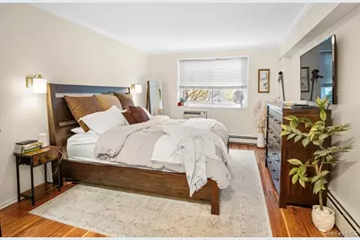 101 Clinton Avenue #1L, Mineola, NY 11501 - Photo 14