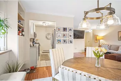 101 Clinton Avenue #1L, Mineola, NY 11501 - Photo 10