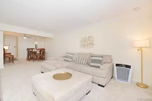 4 Birchwood Ct, Mineola, NY 11501 - Photo 4
