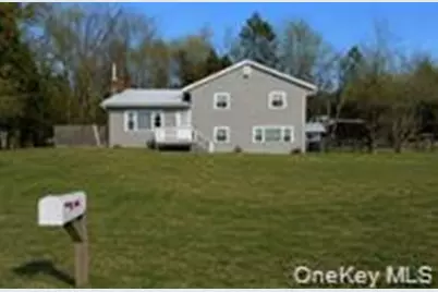 360 Laurel Avenue, Fallsburg, NY 12733 - Photo 1