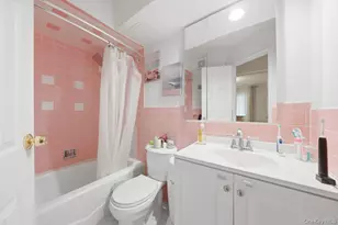 253 Newkirk Ave, Brooklyn, NY 11230 - Photo 18