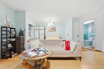 253 Newkirk Ave, Brooklyn, NY 11230 - Photo 8