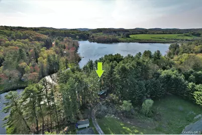 25 George Segar Road, Swan Lake, NY 12783 - Photo 4