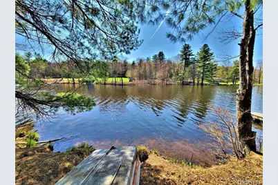 25 George Segar Road, Swan Lake, NY 12783 - Photo 36