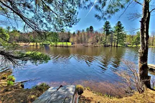25 George Segar Rd, Swan Lake, NY 12783 - Photo 36