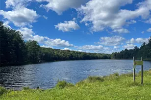14 Willow Ln, Monticello, NY 12701 - Photo 8