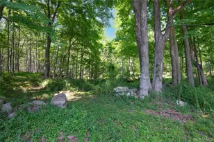 139 Smith Ridge Rd, South Salem, NY 10590 - Photo 38