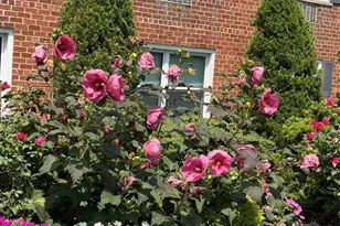 124 S Park Ave, Rockville Centre, NY 11570 - Photo 16