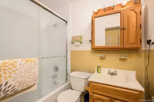 1135 Ruth Pl, North Bellmore, NY 11710 - Photo 8