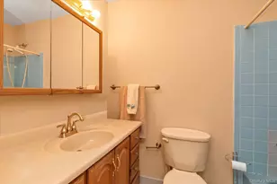 20 Lillian St, Port Jefferson, NY 11776 - Photo 18