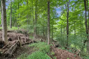 457 Saw Mill River Rd, Millwood, NY 10546 - Photo 6