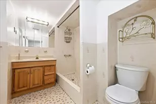 11509 Parkway Dr, Elmont, NY 11003 - Photo 18