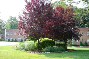 25 Edwards St, Roslyn Heights, NY 11576 - Photo 4
