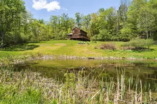 22 J Spielman Rd, Jeffersonville, NY 12748 - Photo 2