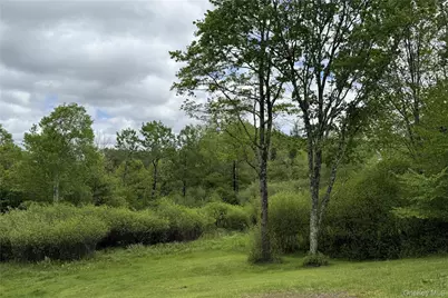22 J Spielman Road, Jeffersonville, NY 12748 - Photo 34