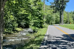 60 Alder Creek Rd, Livingston Manor, NY 12758 - Photo 32