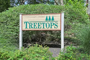 279 Treetop Cir, Nanuet, NY 10954 - Photo 34