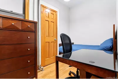 458 Halsey Street, Brooklyn, NY 11233 - Photo 12