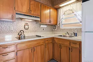 173 12th St, Bethpage, NY 11714 - Photo 10