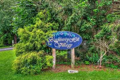 803 Village Drive, Brewster, NY 10509 - Photo 1