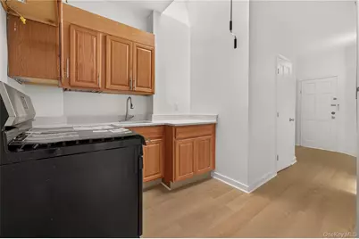 458 Drew Street, Brooklyn, NY 11208 - Photo 26