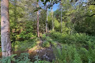 1360 Gulf Rd, Callicoon Center, NY 12724 - Photo 14