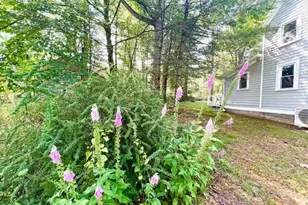 3 Rennenberg Rd, Highland Lake, NY 12743 - Photo 20