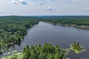 30 Beach, Glen Spey, NY 12737 - Photo 32