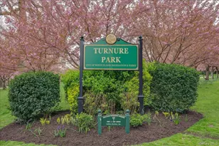 16 Lake St, White Plains, NY 10603 - Photo 26