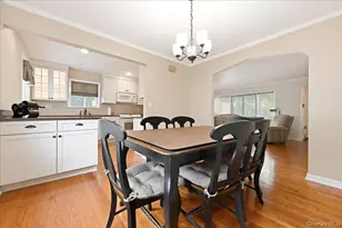 43 Scott St, New Hyde Park, NY 11040 - Photo 10