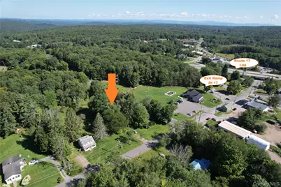 52/60 Katrina Falls Road, Rock Hill, NY 12775 - Photo 1