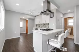 508 Michigan St, Ronkonkoma, NY 11779 - Photo 10