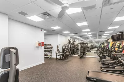 74 Miro Place, Port Washington, NY 11050 - Photo 30
