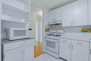 25 Franklin Ave, White Plains, NY 10601 - Photo 12