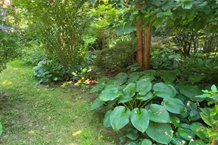 7606 Nys 52, Narrowsburg, NY 12764 - Photo 14