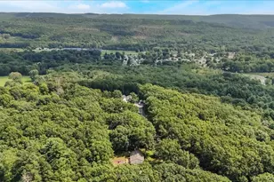 55 Somarelli Rd, Huguenot, NY 12746 - Photo 4