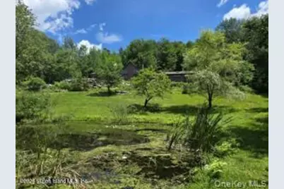 195 Haynes Hollow, Arkville, NY 12406 - Photo 34