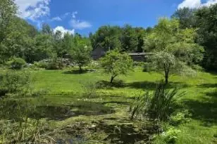 195 Haynes Hollow, Arkville, NY 12406 - Photo 34