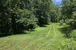 195 Haynes Hollow, Arkville, NY 12406 - Photo 32