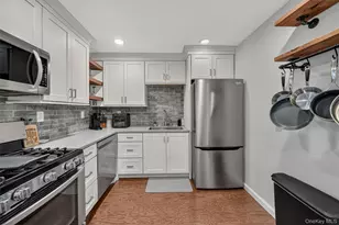 25 Franklin Ave, White Plains, NY 10601 - Photo 10