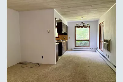 249 David Rhodes Road, Westbrookville, NY 12790 - Photo 6