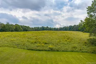 332 Bernas Rd, Cochecton Center, NY 12726 - Photo 28