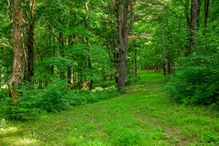 21 Schoolhouse Rd, Hillsdale, NY 12529 - Photo 44